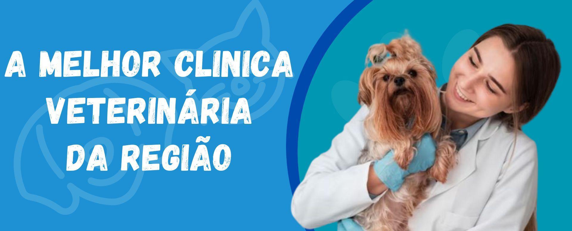 Clínicas Veterinárias